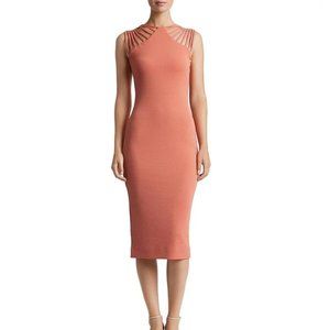 Dress The Population Gwen Midi Dress in Terracotta